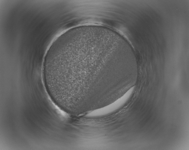 X0000062631379200512281544