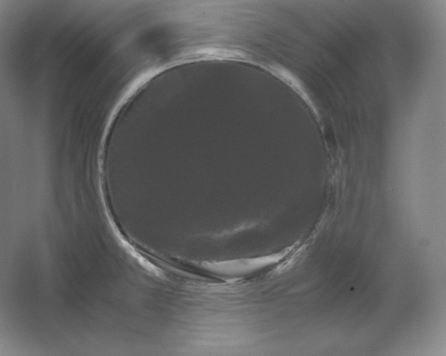 X0000062631381200512281544