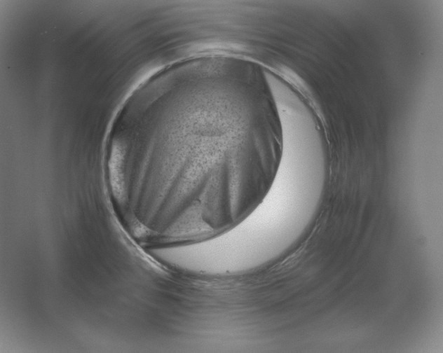 X0000062631384200512281544