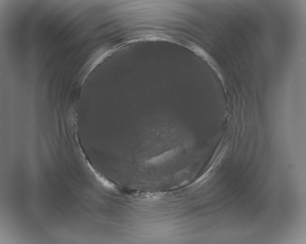 X0000062631385200512281544