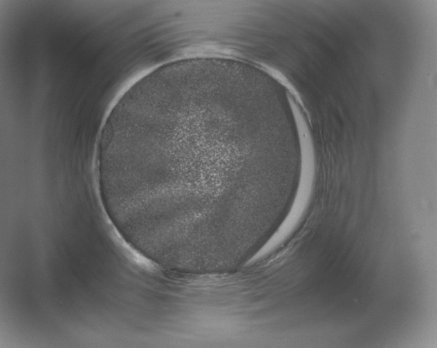 X0000062631387200512281544