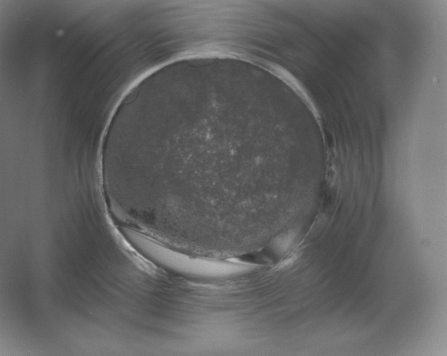 X0000062631388200512281544