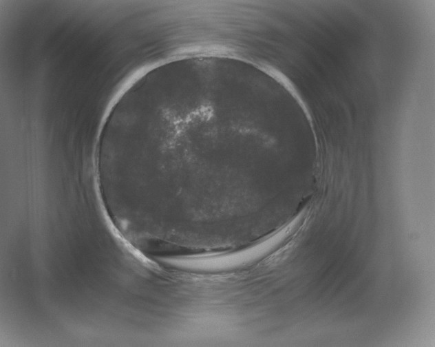 X0000062631389200512281544