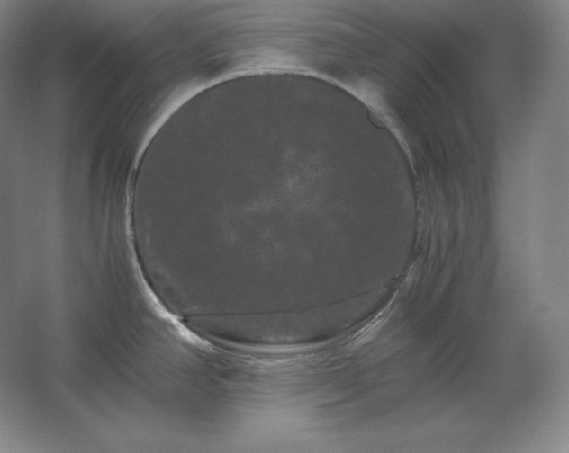 X0000062631390200512281544