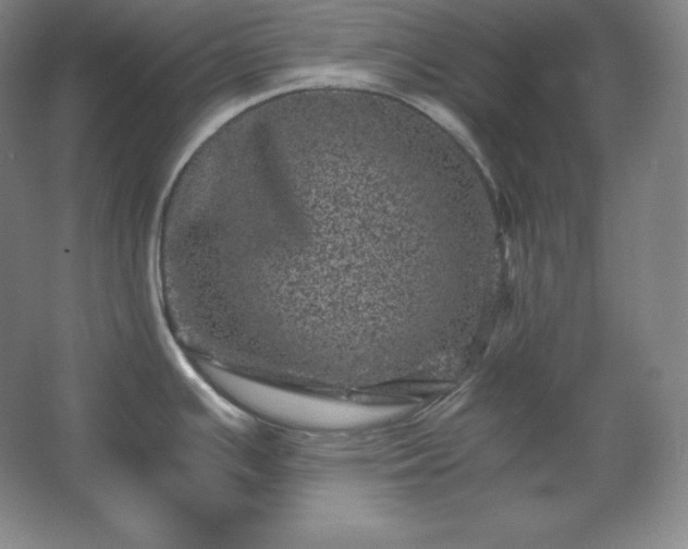 X0000062631391200512281544