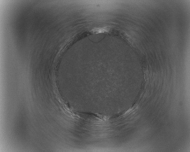 X0000062631393200512281543