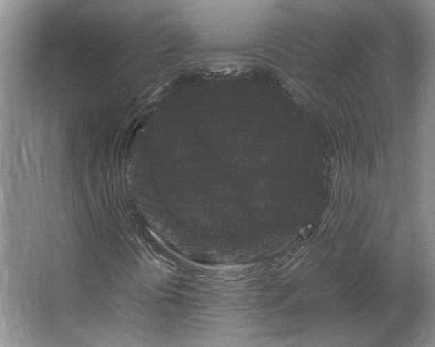 X0000062631394200512281543