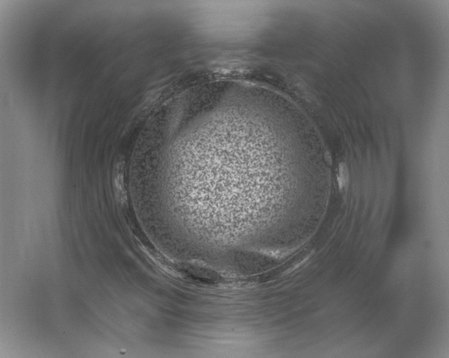 X0000062631396200512281543