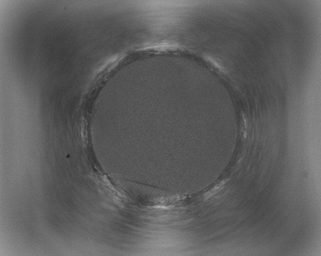 X0000062631398200512281543