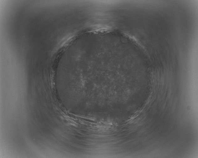 X0000062631399200512281543