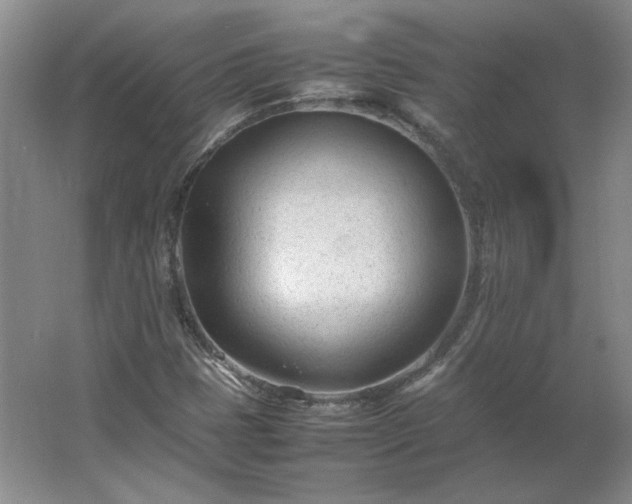 X0000062631401200512281543