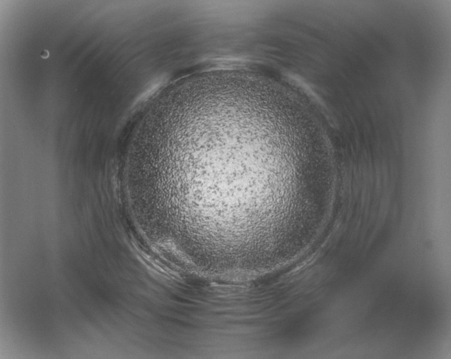 X0000062631403200512281543