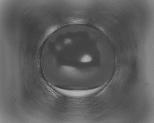 X0000062631405200512281543