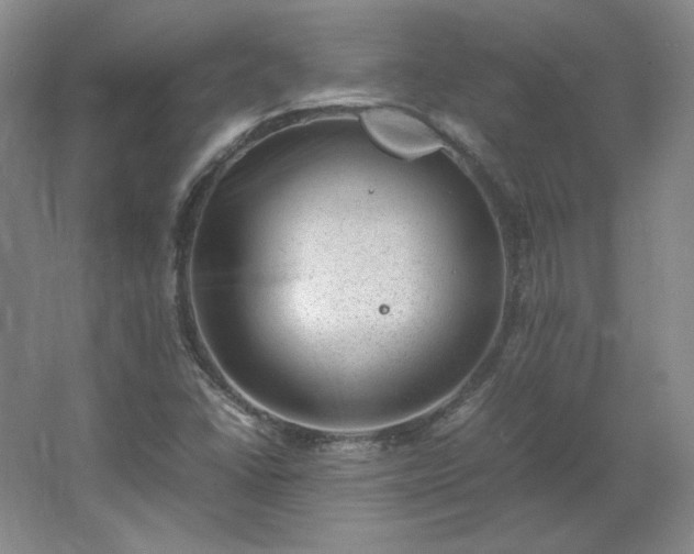 X0000062631406200512281543