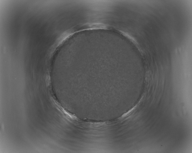 X0000062631407200512281543