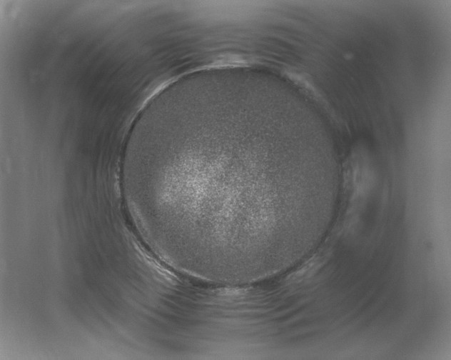 X0000062631409200512281543