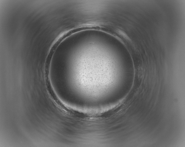 X0000062631412200512281543