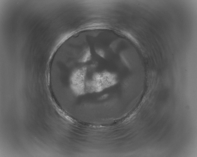 X0000062631413200512281543