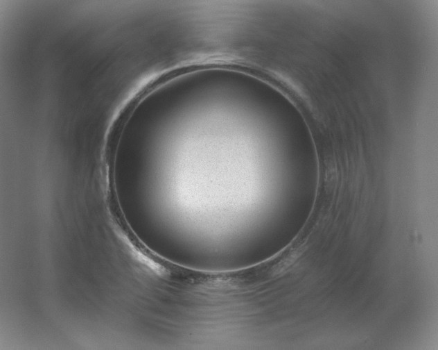 X0000062631414200512281543