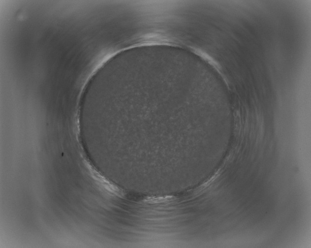 X0000062631415200512281543