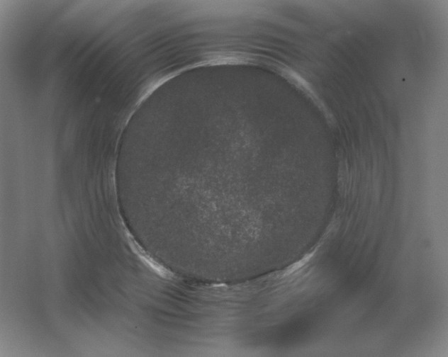 X0000062631417200512281543