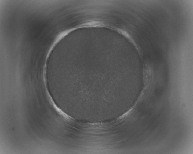 X0000062631421200512281543