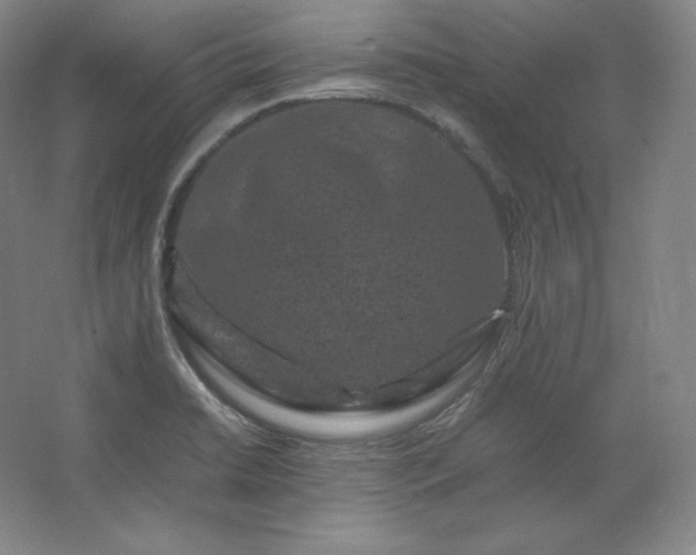 X0000062631422200512281543