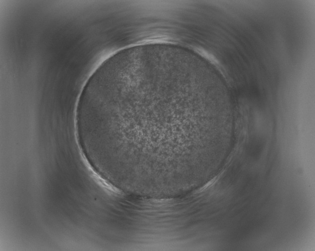 X0000062631423200512281543