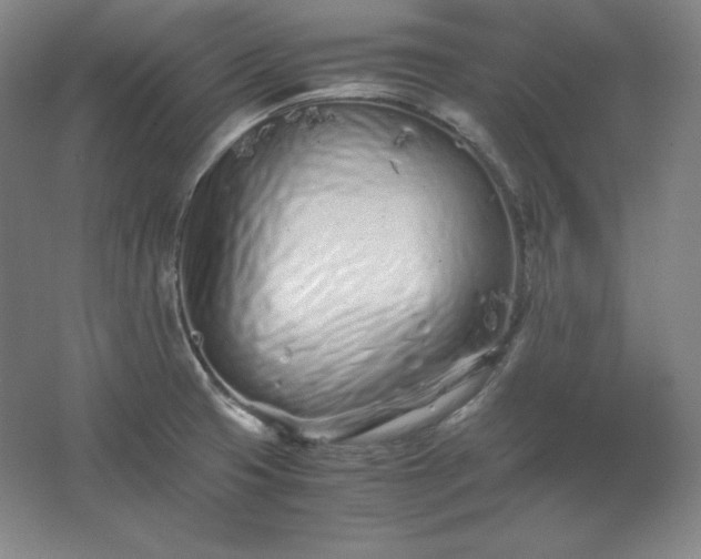 X0000062631425200512281544