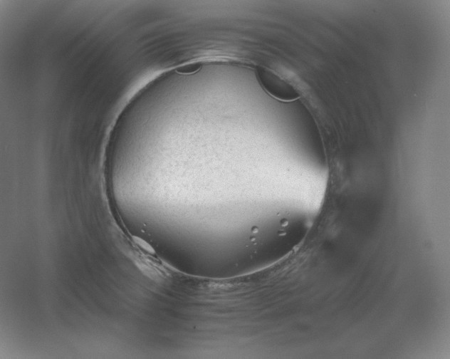 X0000062631427200512281544