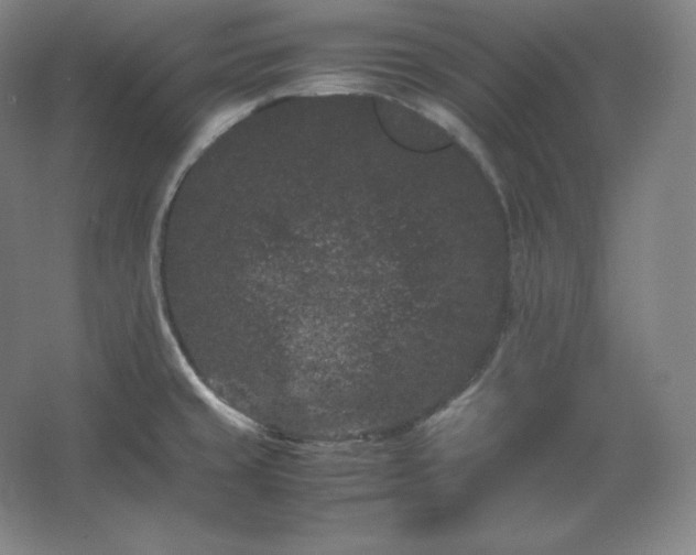 X0000062631429200512281544