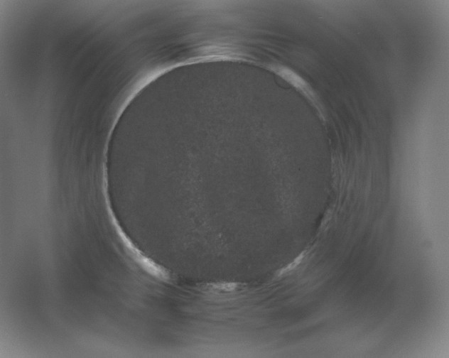 X0000062631431200512281544