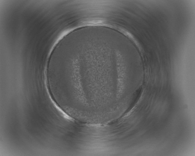 X0000062631432200512281544