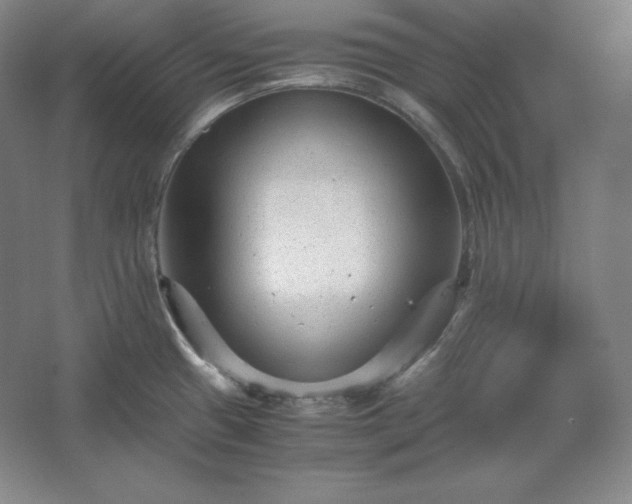 X0000062631433200512281544