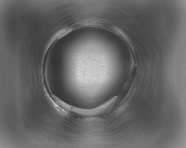 X0000062631434200512281544