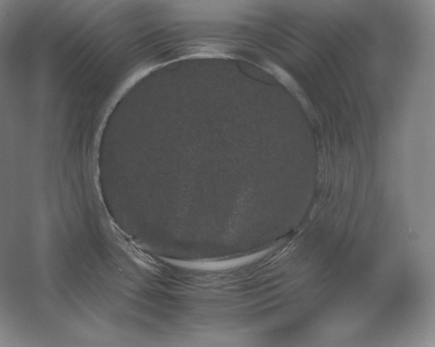 X0000062631435200512281544