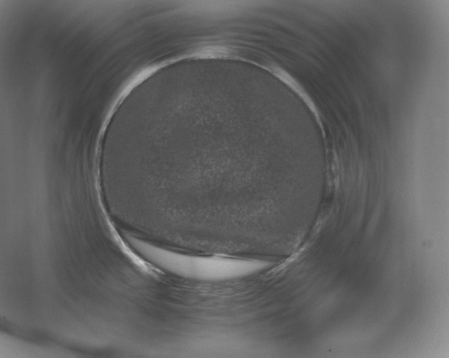 X0000062631437200512281544