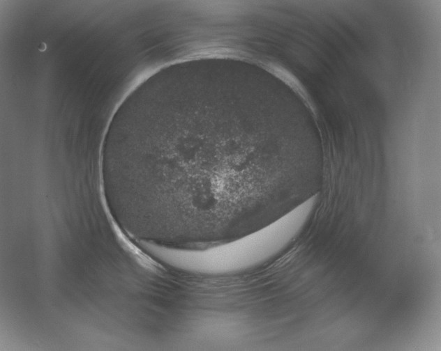 X0000062631439200512281544