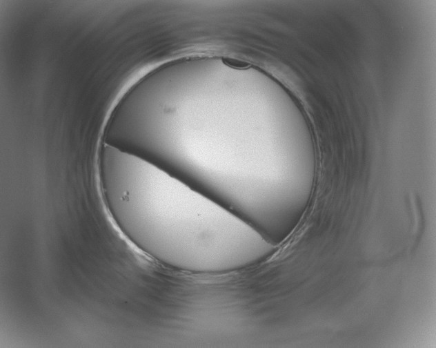 X0000062631440200512281544