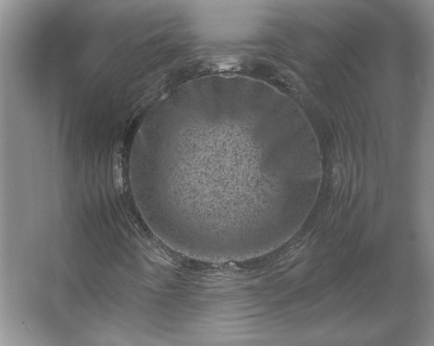 X0000062631442200512281543