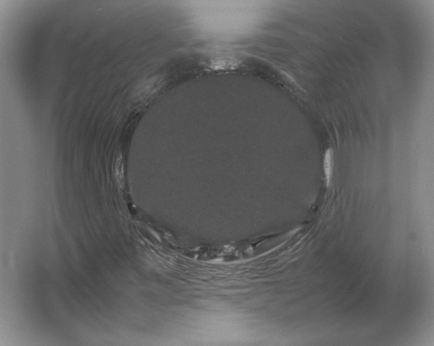 X0000062631443200512281543