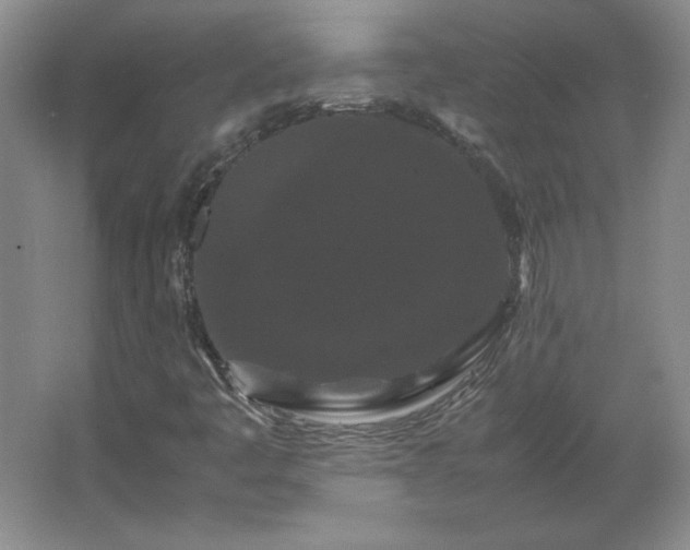 X0000062631445200512281543