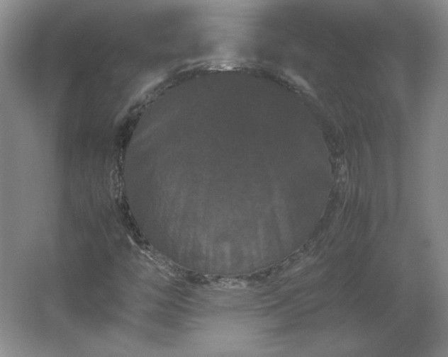 X0000062631446200512281543