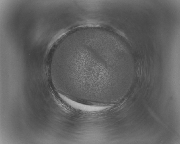 X0000062631448200512281543