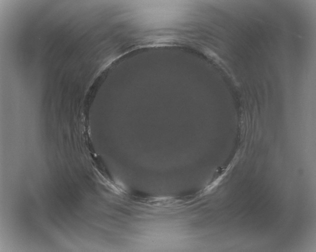 X0000062631449200512281543