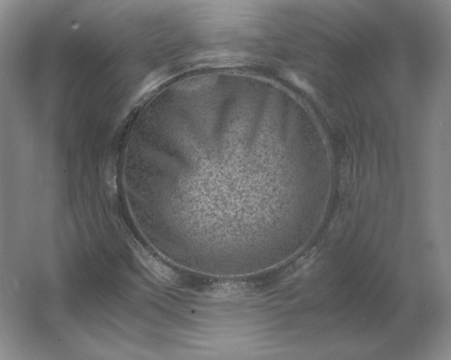 X0000062631451200512281543