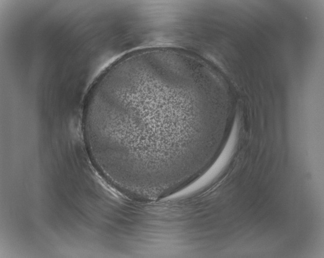 X0000062631452200512281543