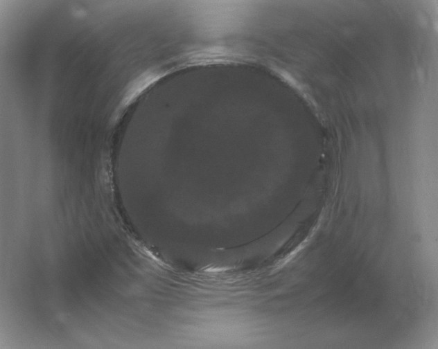 X0000062631453200512281543