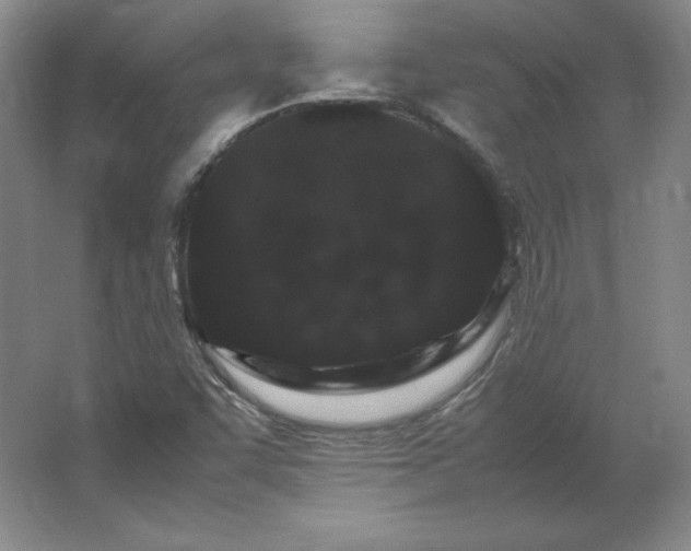 X0000062631455200512281543