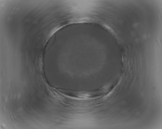 X0000062631457200512281543